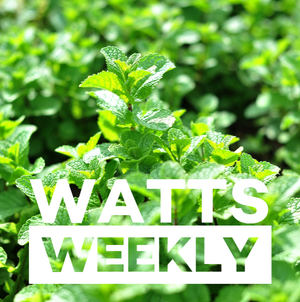 Watts Weekly