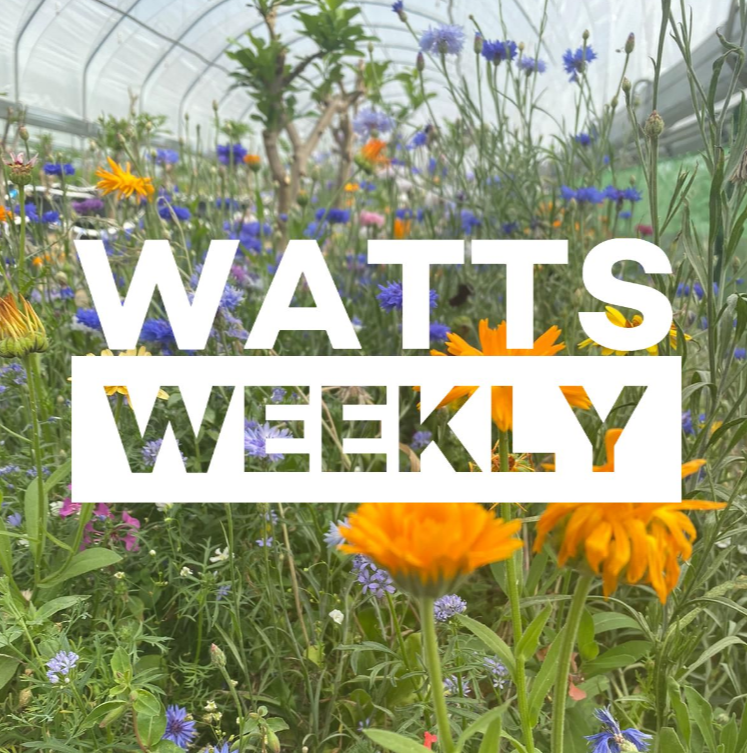 Watts Weekly - 20/07