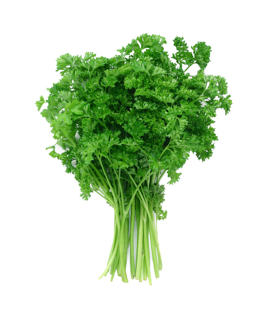 Iced Curly Parsley Box (2KG)