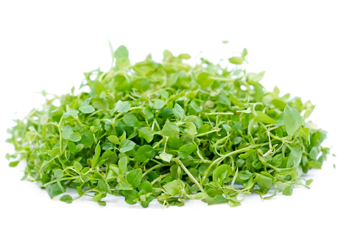 Baby Cress Chickweed Punnet - 20g