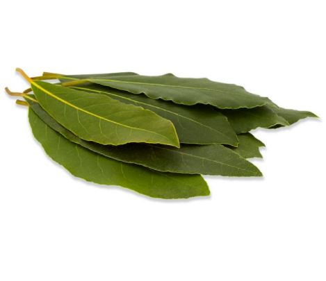 Bayleaf