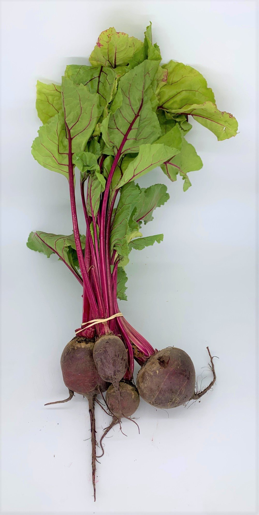 Beetroot Red Raw Bunch