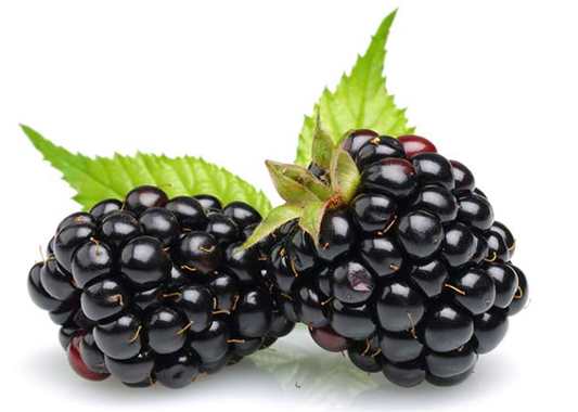 Kentish Blackberries 125g-Watts Farms