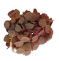 Baby Cress Butterfly Sorrel Bronze Punnet - 15g