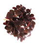 Baby Cress Butterfly Sorrel Red Punnet - 15g