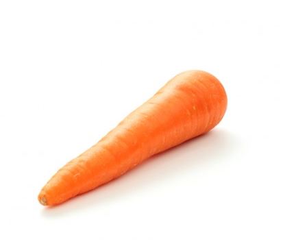 Carrot Dutch Finger