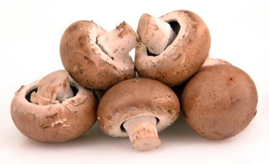 Mushrooms Chestnut Retail Pack