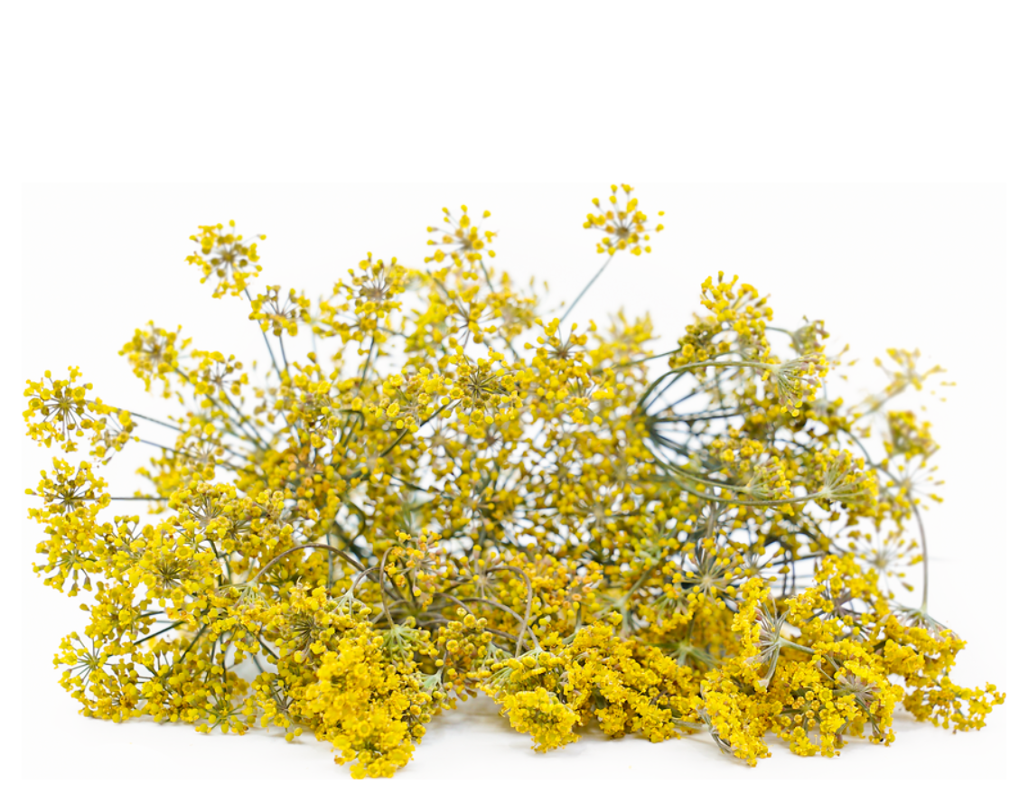 Fennel Flowers - 18g