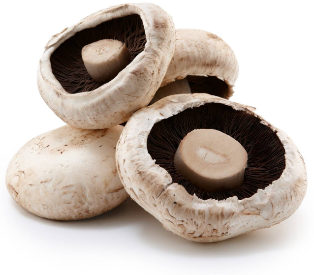 Flat Large Mushrooms - 500g-Watts Farms