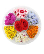 Edible Flowers Selection Wheel x 1