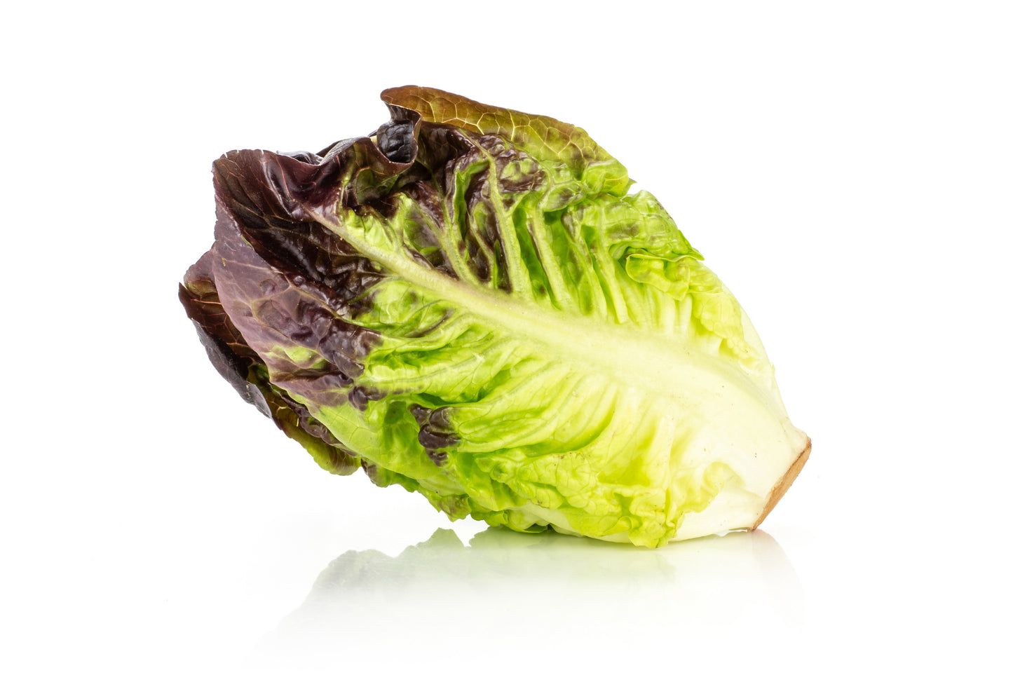 Lettuce Red Gem - Pack of 2