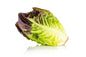 Lettuce Red Gem - Pack of 2