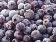 Frozen Blueberries IQF