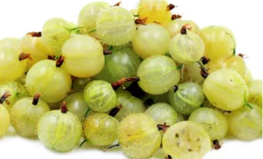 Frozen Gooseberries