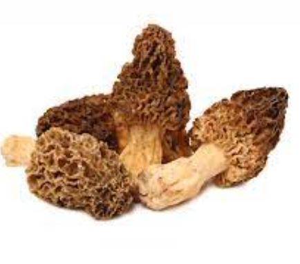 Frozen Mushroom Morel Packet 1kg