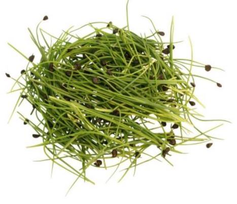 Baby Cress Garlic Chives Punnet - 30g