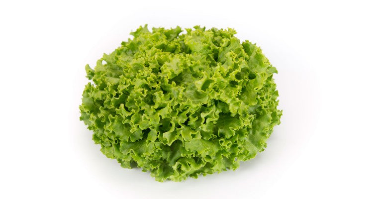 Lettuce Green Batavia Each