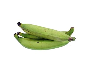 Banana Green Plantain