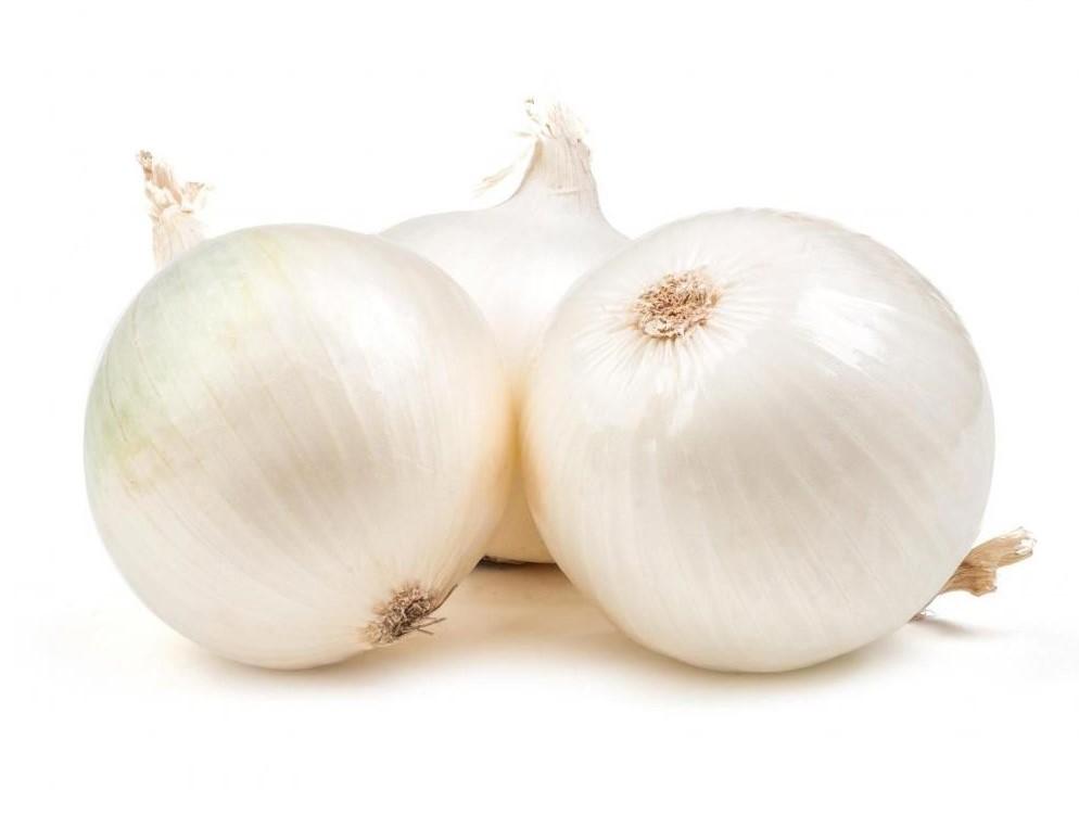 Onion White Italian