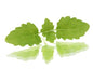 Baby Cress Lemon Balm Punnet - 30g