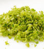 Lime Zest - 100g