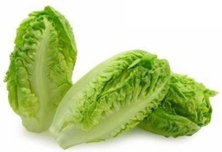 Little Gem Lettuce - Twin Pack-Watts Farms