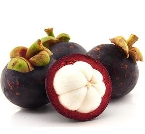 Mangosteen