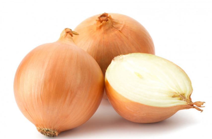 Onion English Small