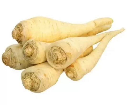 Parsley Root