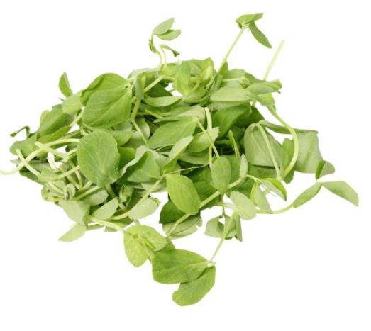 Peashoots Cut Tendril Punnet - 100g