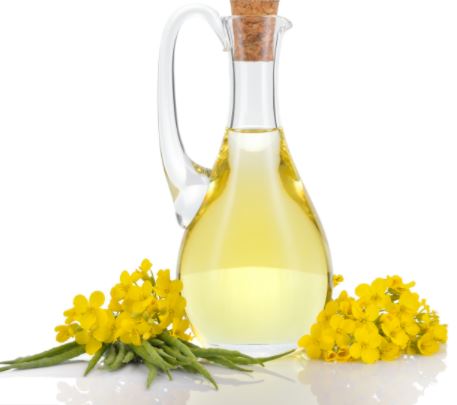 Rapeseed Oil Kentish Cold Pressed