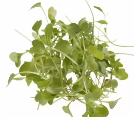 Baby Cress Rocket Punnet - 30g