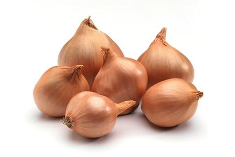 Shallots Round