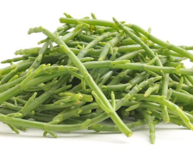 Samphire