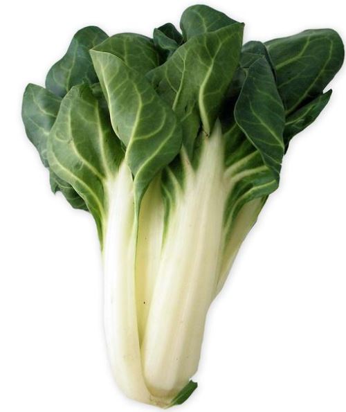 Swiss Chard