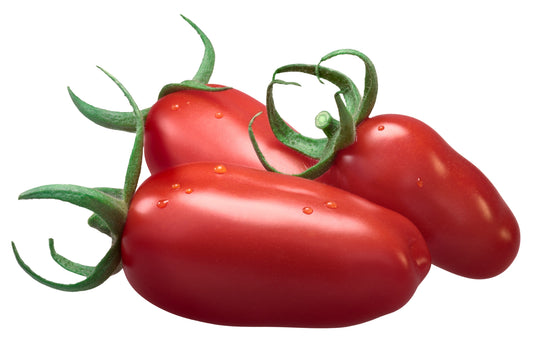 Tomato San Marzano Large