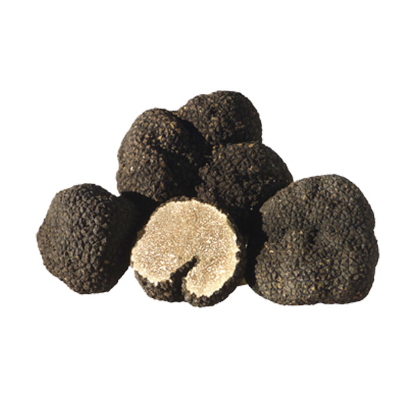 Mushrooms Truffle Black