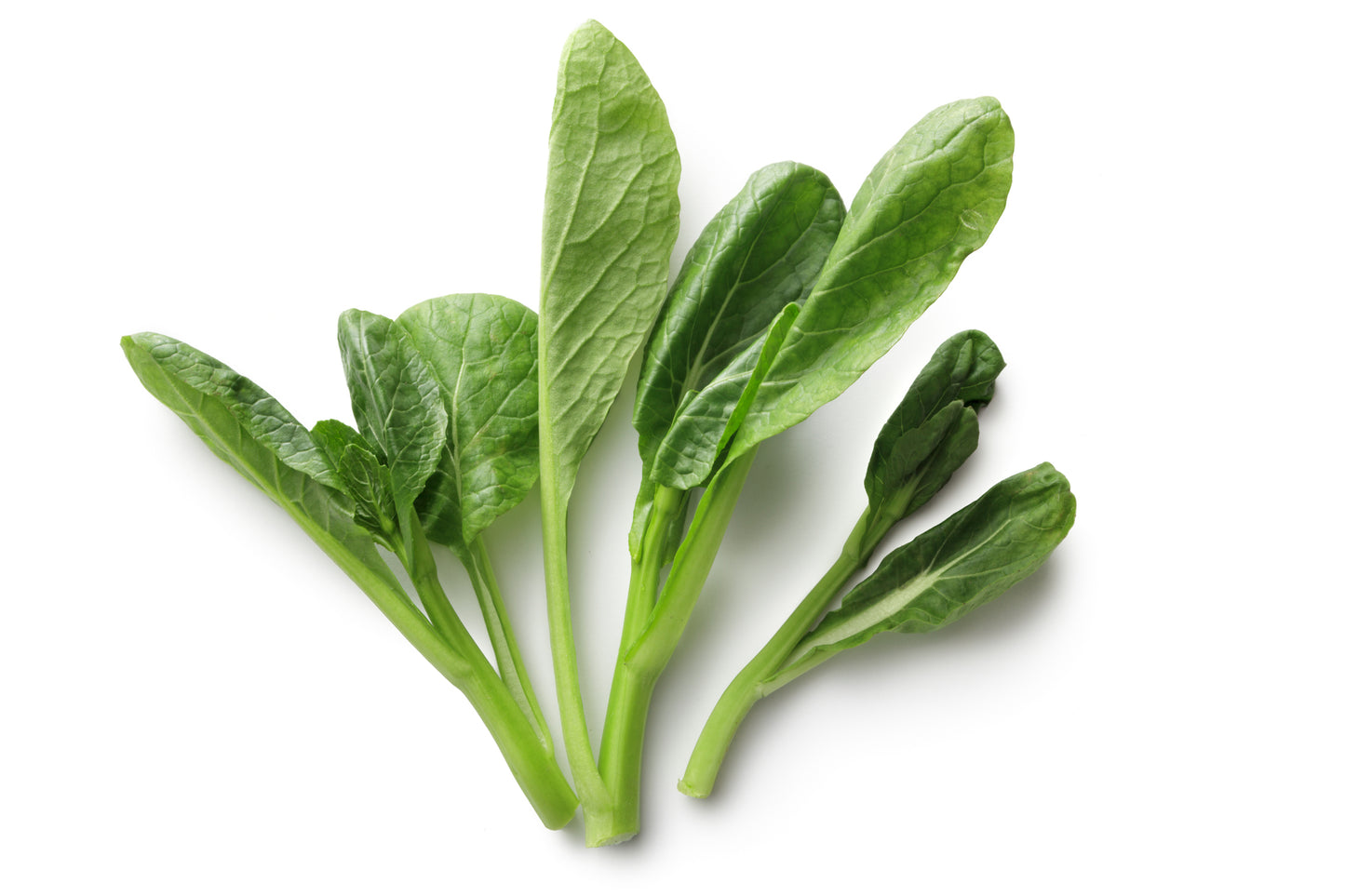 Choi Sum (KG)