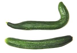 Wonky Cucumber