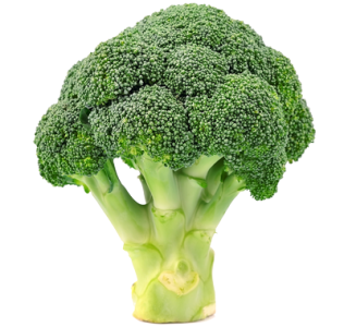 Broccoli Loose - Each-Watts Farms