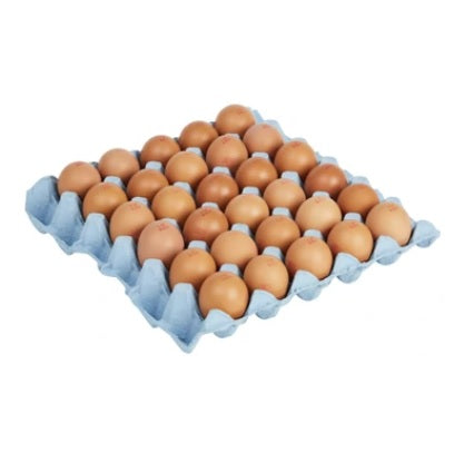 Eggs Colony Lion Stamped Medium Box 15 Dozen