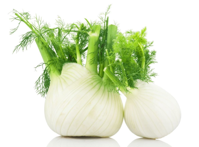 Fennel - Each-Watts Farms