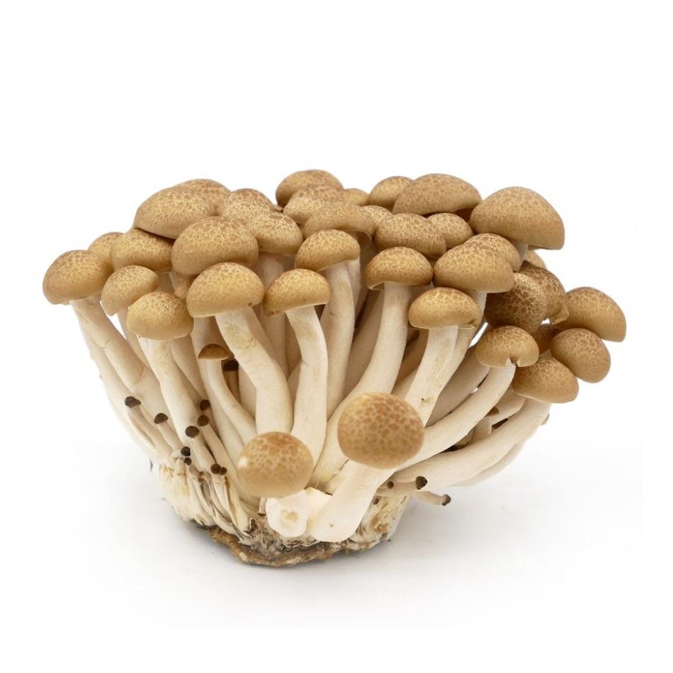 Shimeji Brown Mushroom - 150g-Watts Farms