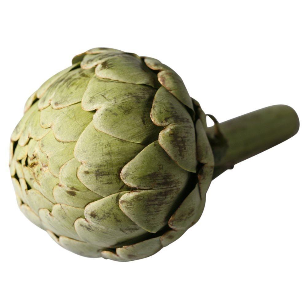 Artichoke Globe Large - each-Watts Farms