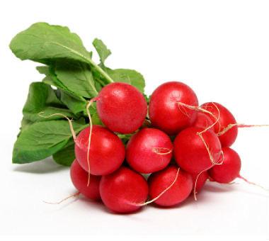 Radish Red - Bunch-Watts Farms