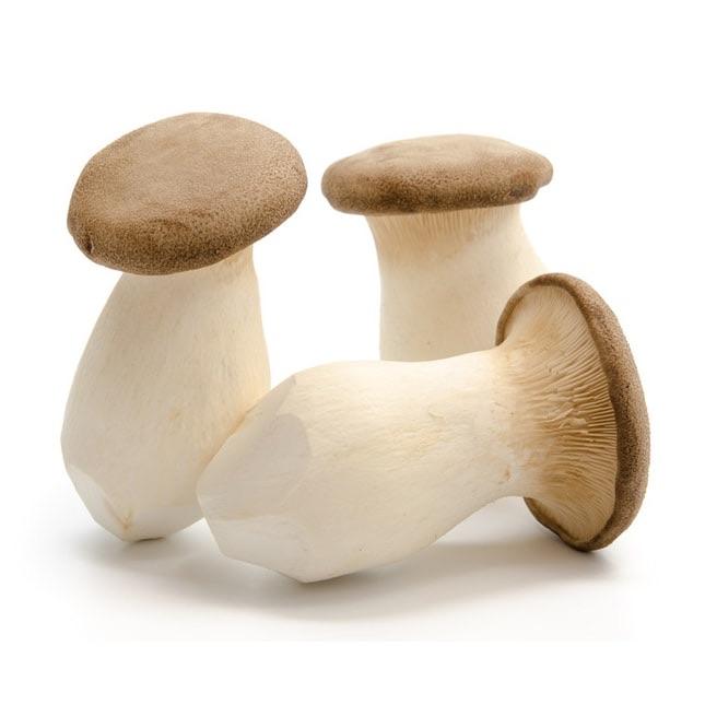 King Oyster Mushrooms - 250g-Watts Farms