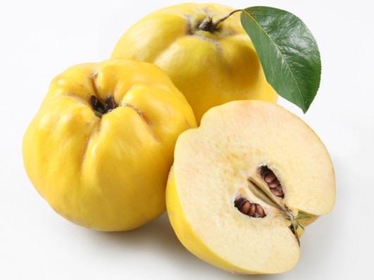 Quince - each-Watts Farms