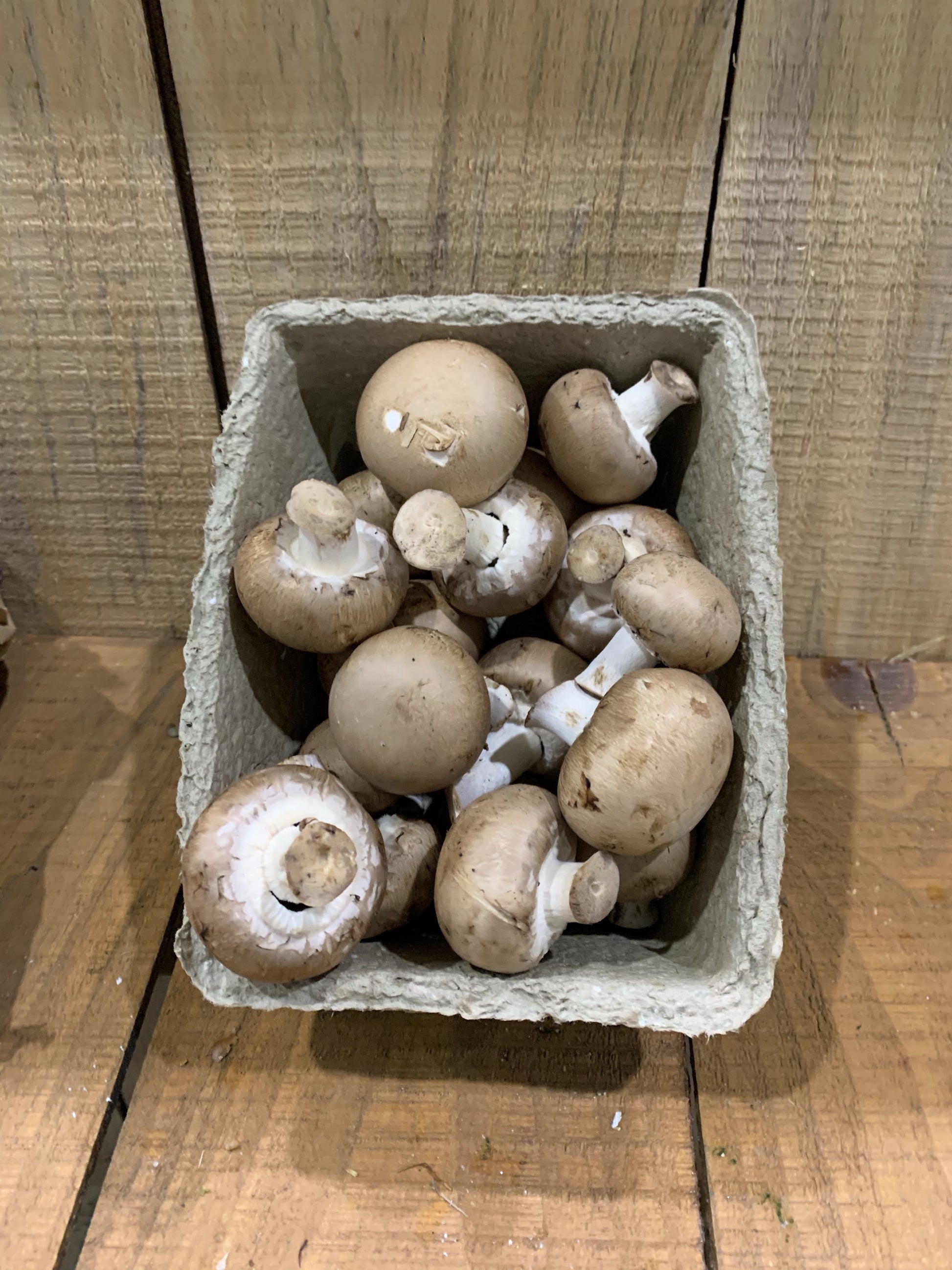 Chestnut Mushrooms - 250g-Watts Farms