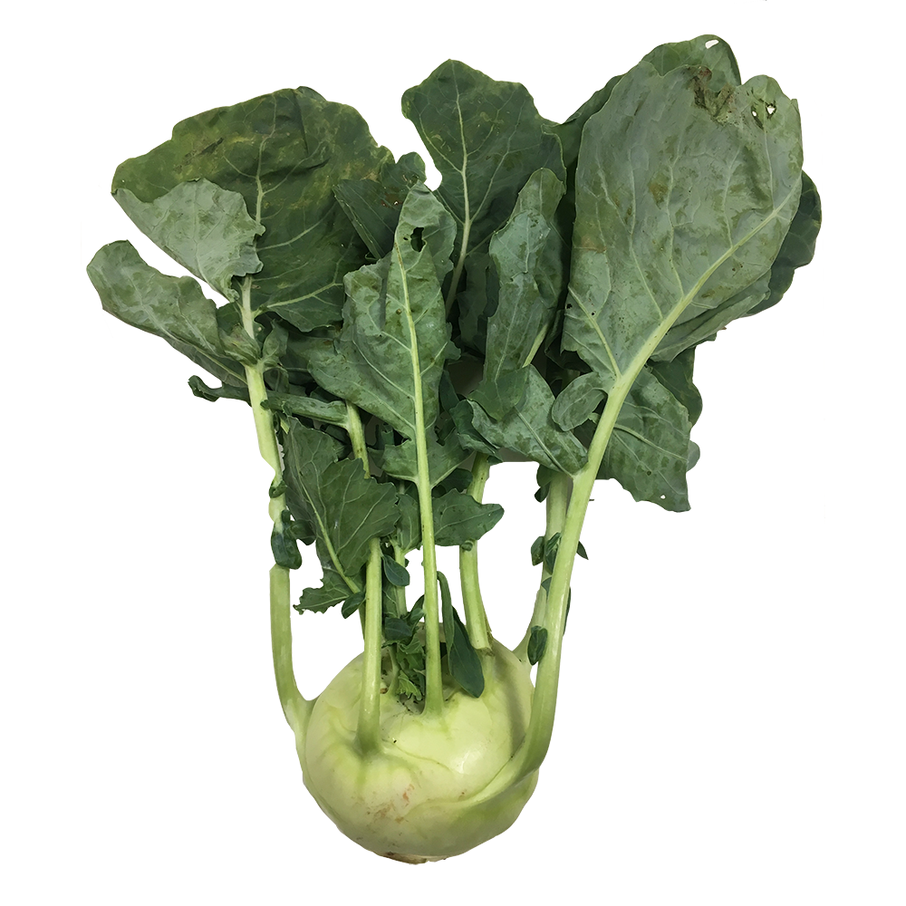 Kohl Rabi - kg-Watts Farms