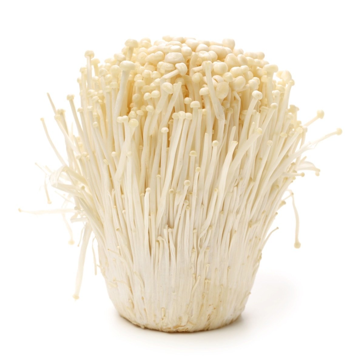 Enoki Mushrooms - 100g-Watts Farms